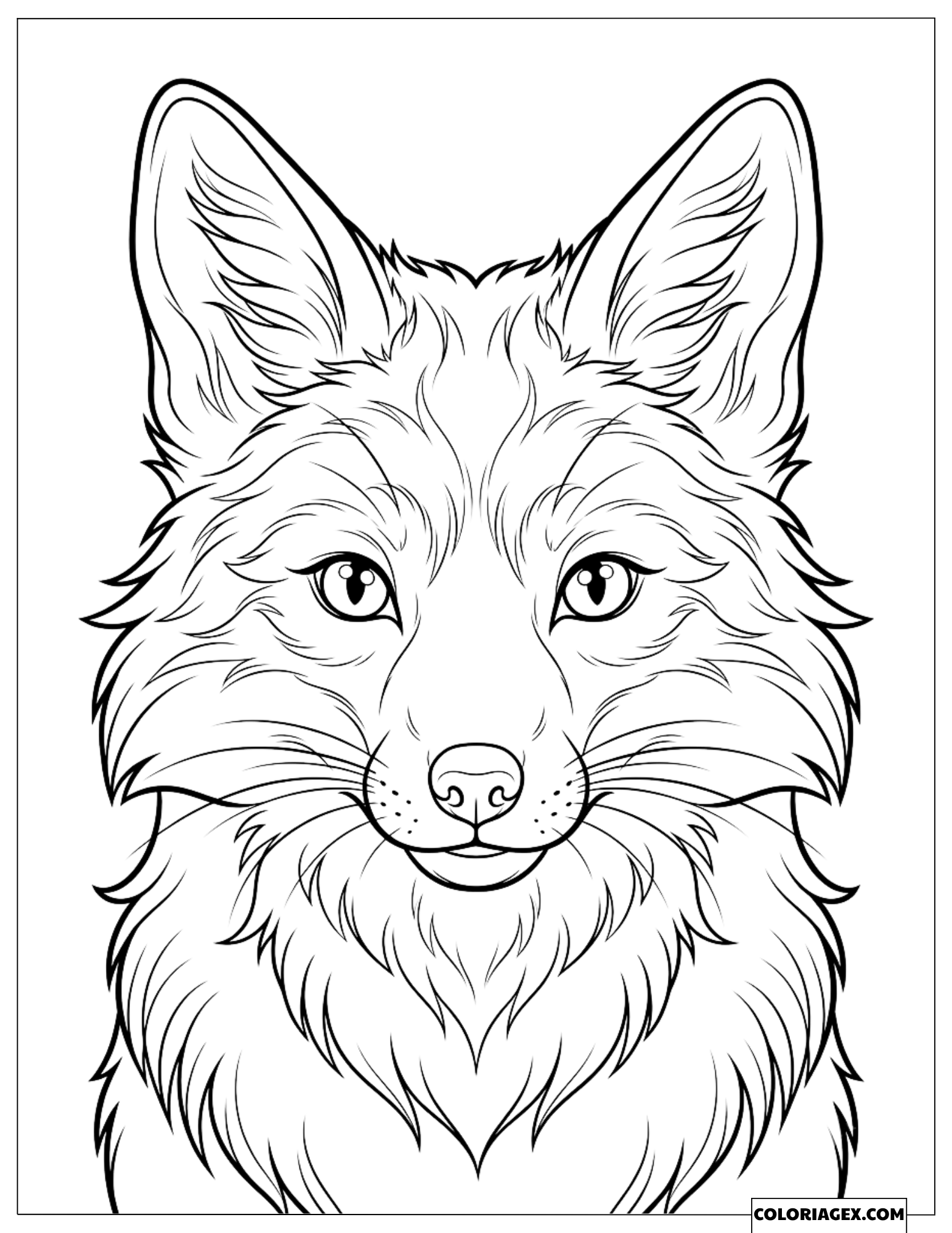 Dessin Portrait Rapproché de la Tête d'un Renard Roux Détaillé